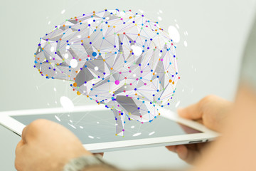 狼都有哪些种类？