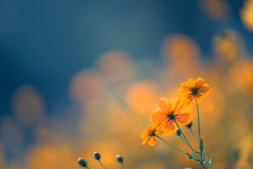 幼儿园安全教育知识