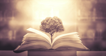 护士基本常识三查七对