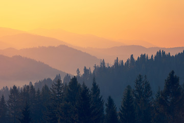 火锅的发源地是哪里