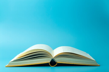 守护海洋手抄报