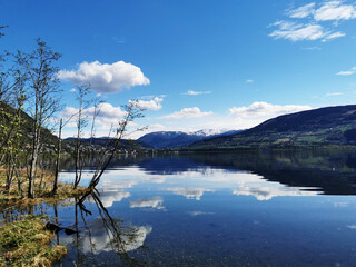 关于健康养生的走心文案(精选25句)