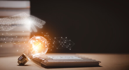 昆虫记中大头黑步甲的特点