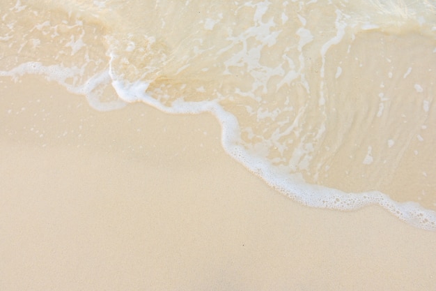 泛素化降解机制是什么-