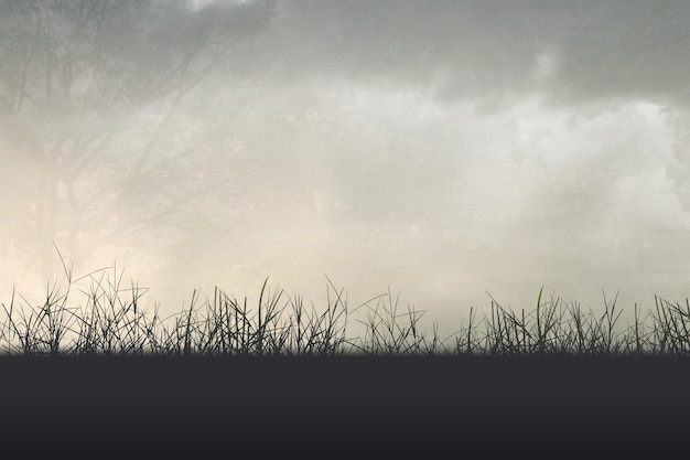 黄河的地理知识