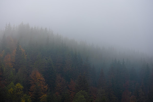 河南牧业学校值得上吗