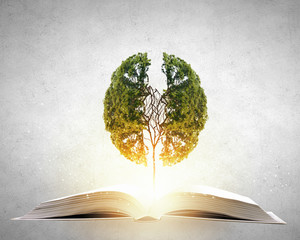 宝钗一家为什么住在贾家