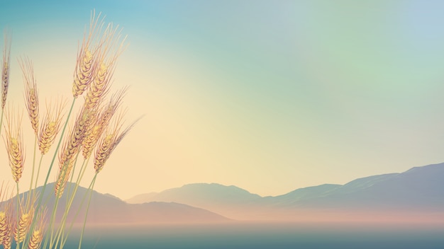 安次区是哪个市的