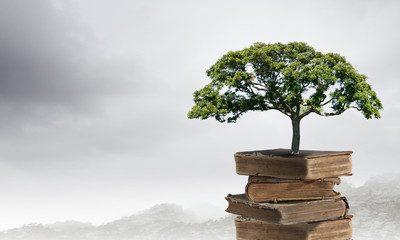 科技节演讲比赛演讲稿