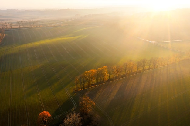 教师公开课的活动总结