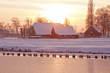 简单的科普知识问答题