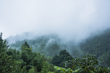 江苏白酒十大排名
